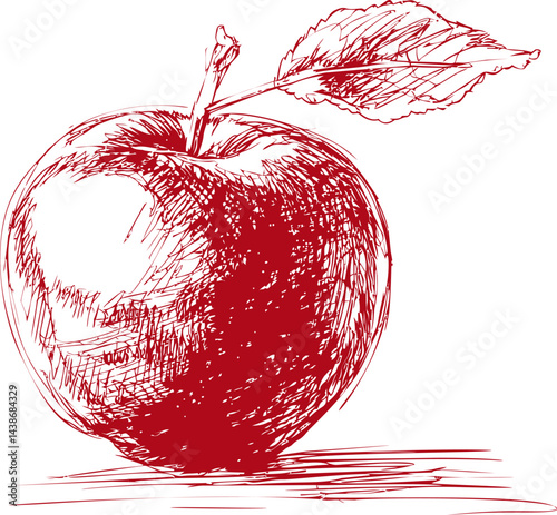 Red sketch drawing of an apple with a leaf, digital artwork. Vector illustration