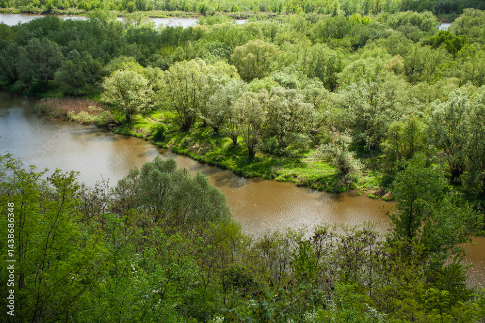 Fototapeta premium Scenic view of a calm river meandering through lush green forest in spring, showcasing untouched nature, vibrant vegetation, and the peaceful beauty of a wild river landscape