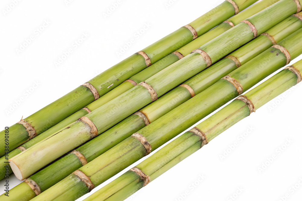 Obraz premium Fresh green sugar cane stalk