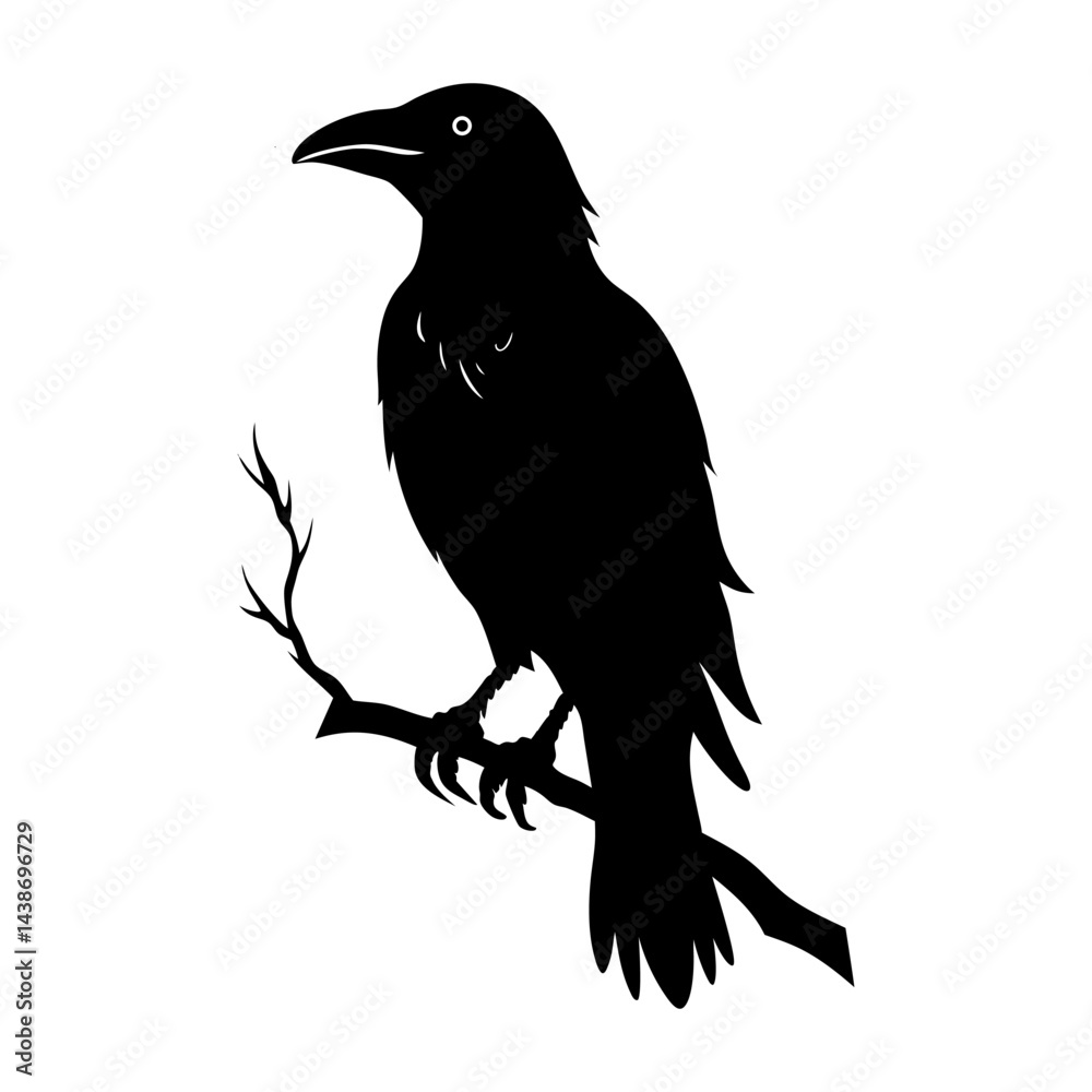 Fototapeta premium crow on a white background