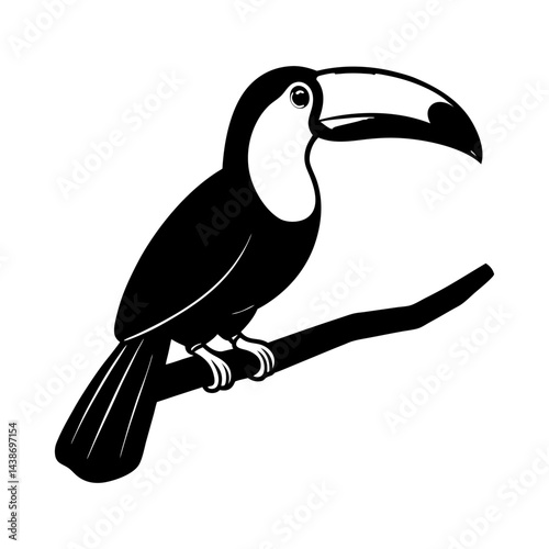 toucan on a white background