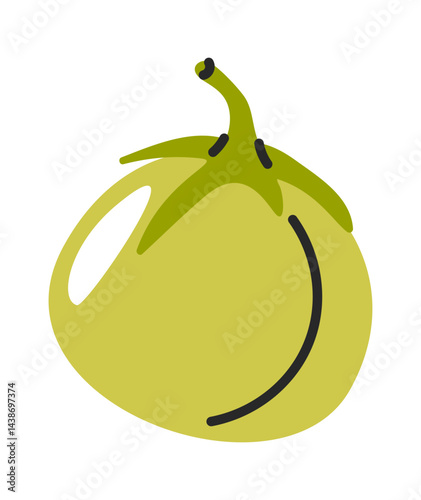 Green tomato hand drawn element