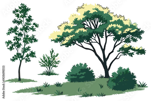 Illustration of Trees and Shrubs with Green and Yellow Leaves on White Background for Botanical Design.