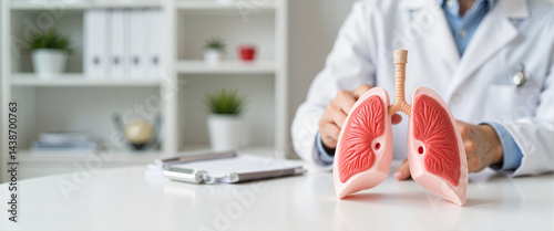 Doctor demonstrating respiratory system model in modern clinic  