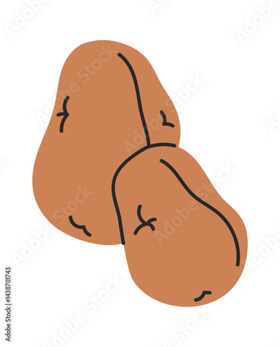 Potatoes food hand drawn vegetable