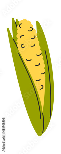 Corn cob hand drawn vegetable