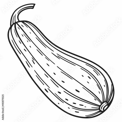 illustration of a fruit