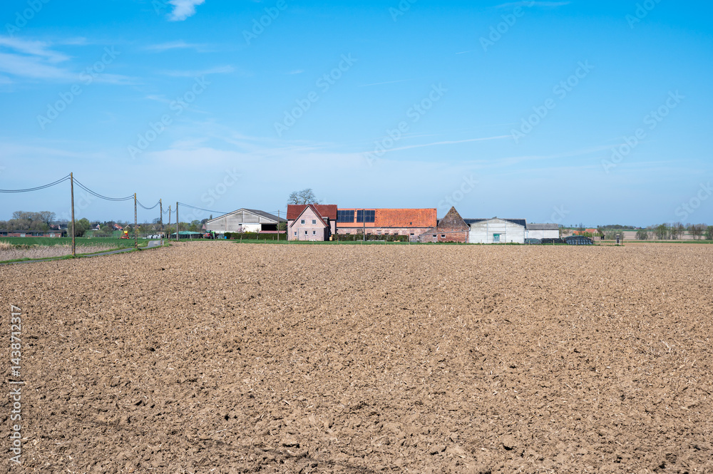 Fototapeta premium Senic view over farmland at the Flemish countryside in Poperinge, West Flanders, Belgium