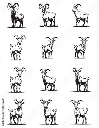 creative vector illustration of goats