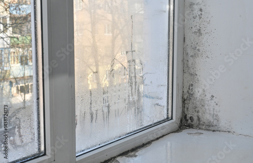 fungus on the window in the apartment. wet fogged glass due to humidity and black mold forms.