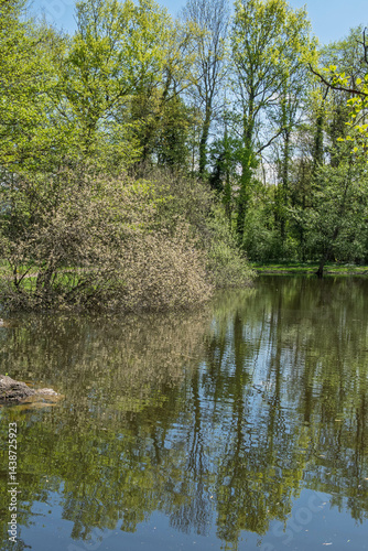 reflets du rivage sur l'étang de Cessy