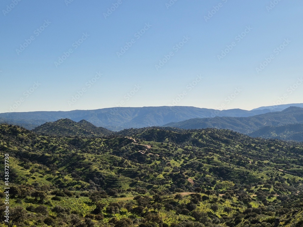 Fototapeta premium Parque natural de Sierra Morena - Marzo 2025