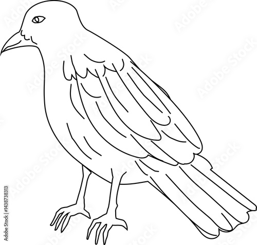 Hand-drawn crow illustration in minimalist black and white line art, ideal for Halloween and gothic themes.