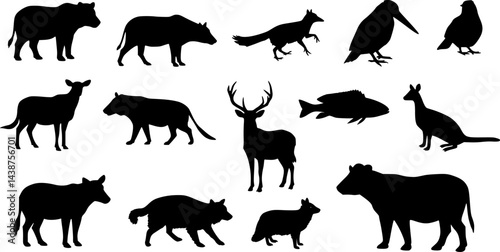 Animal silhouette collection. Set of black animal silhouette. Animal icons. Mammal, fish, insects, birds, reptiles silhouette collection. Wild, domestic animals icons