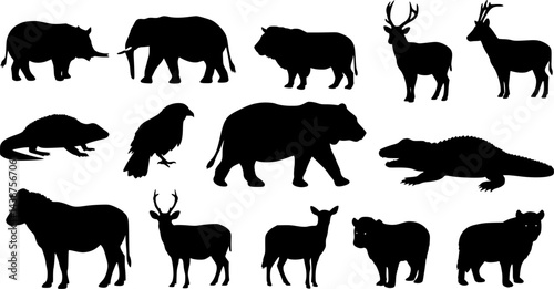 Animal silhouette collection. Set of black animal silhouette. Animal icons. Mammal, fish, insects, birds, reptiles silhouette collection. Wild, domestic animals icons