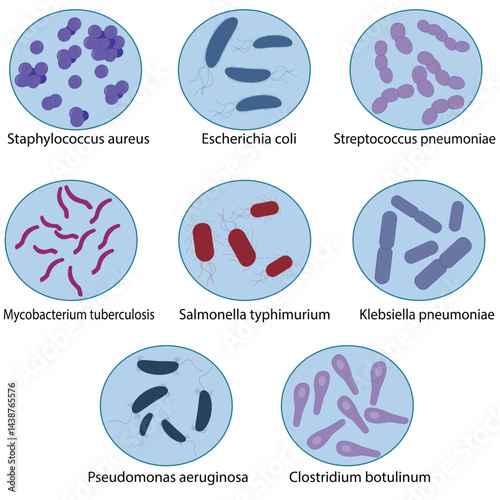 Vector illustration set of pathogenic bacteria 