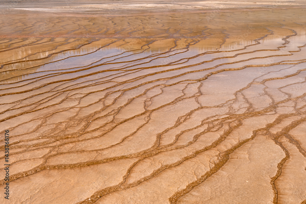 Limestone Terrace Details at Grand Prismatic Spring