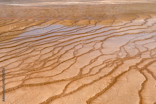 Obraz na płótnie Limestone Terrace Details at Grand Prismatic Spring w salonie