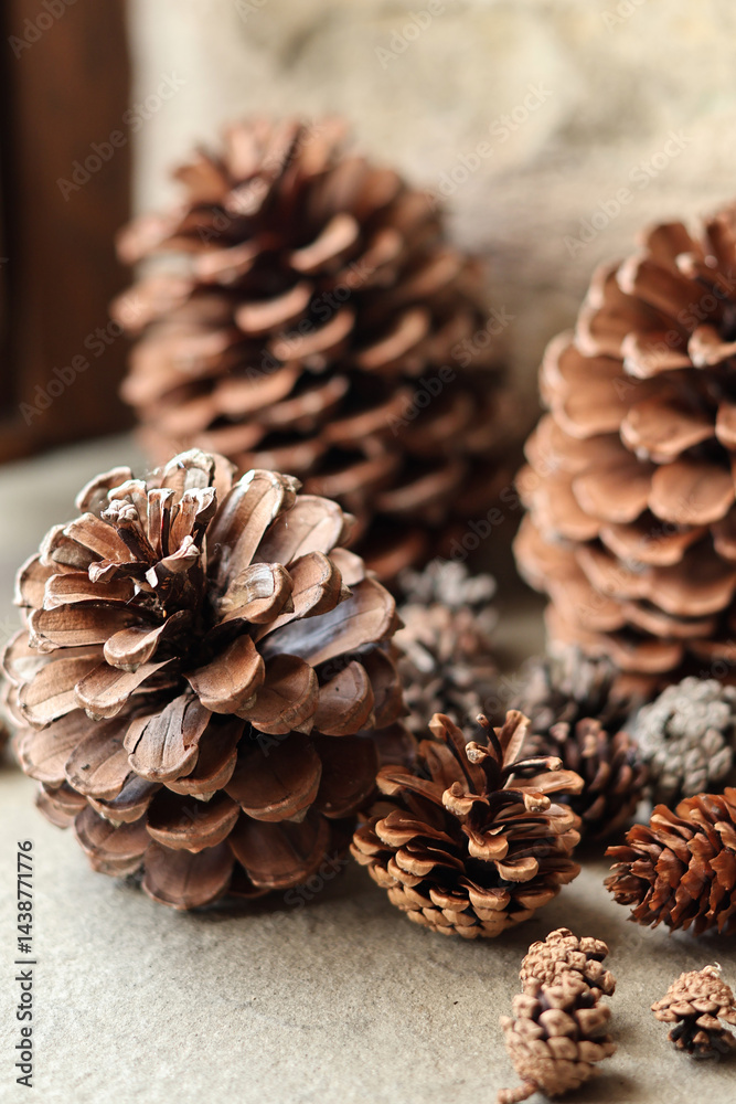 Close-up of natural pine cones lying on the forest floor. Captures intricate textures, earthy tones, and organic details Close-up of natural pine cones lying on the forest floor. Captures intricate textures, earthy tones, and organic details