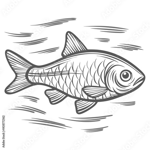 Gold Barb Fish Line Art Illustration