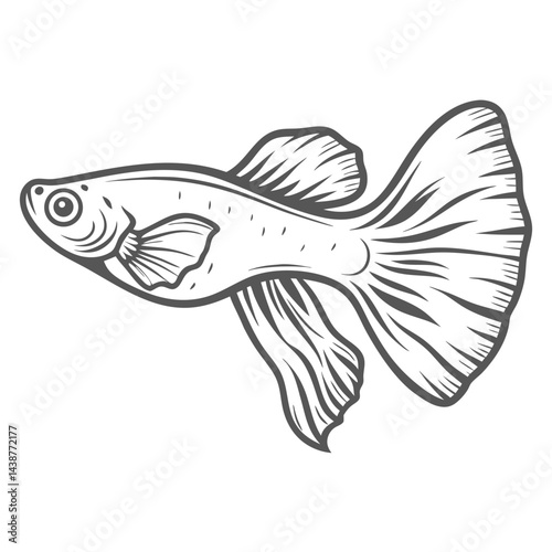 Guppy Fish Line Art Vector Illustration
