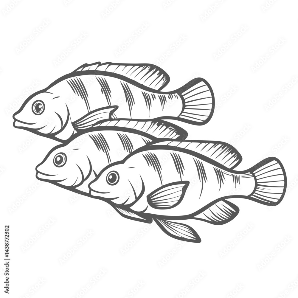 Fototapeta premium Mbuna Cichlids Group Line Art Illustration