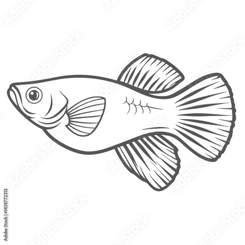 Sailfin Molly Fish Line Art Illustration