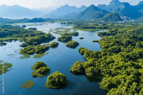 Lush riverine forest landscape