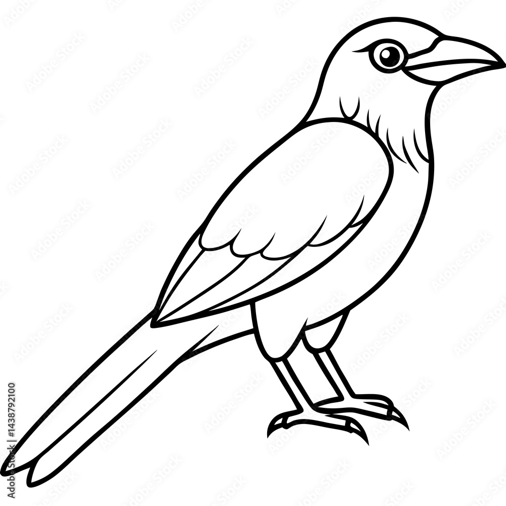 Obraz premium Minimal Indian Roller Vector on White