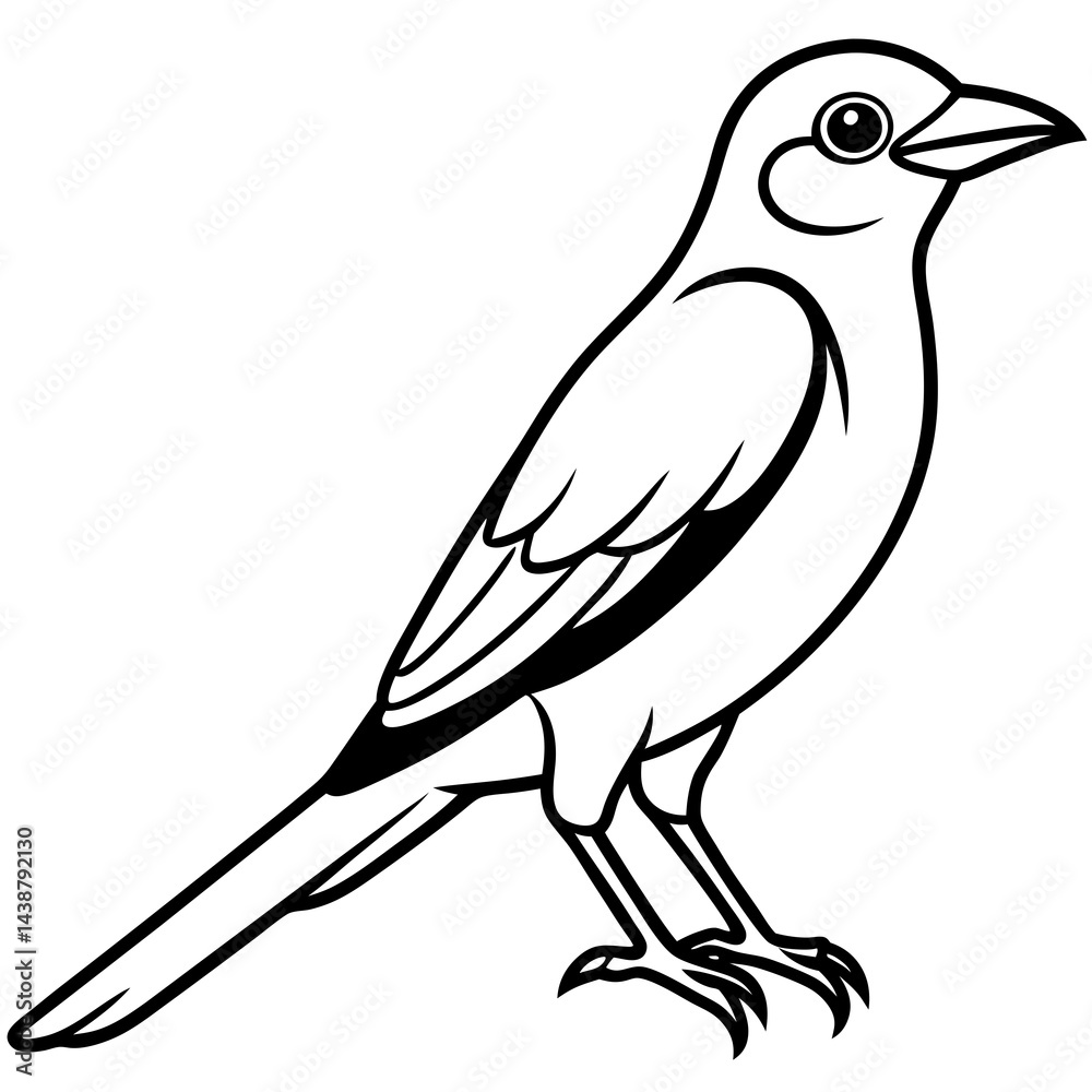 Obraz premium Minimal Indian Roller Vector on White