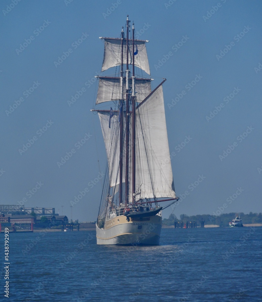 Obraz premium Grpßselgler auf der Elbe in Hamburg