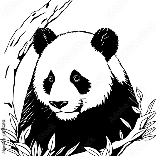 Cute Panda Bear Head Black and White Illustration