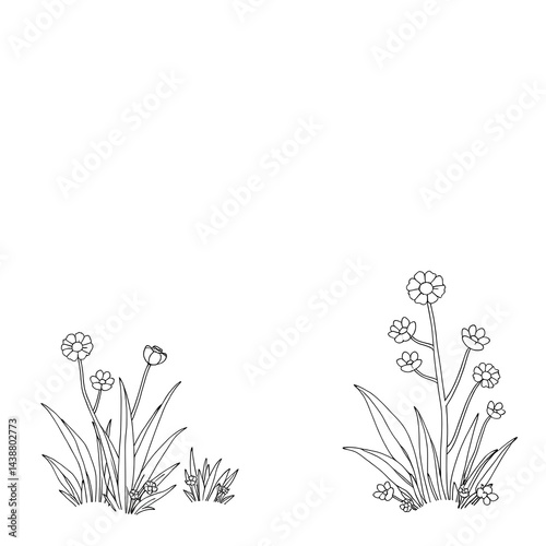 Simple Line Art Drawing of Flowers and Grass, Botanical Illustration