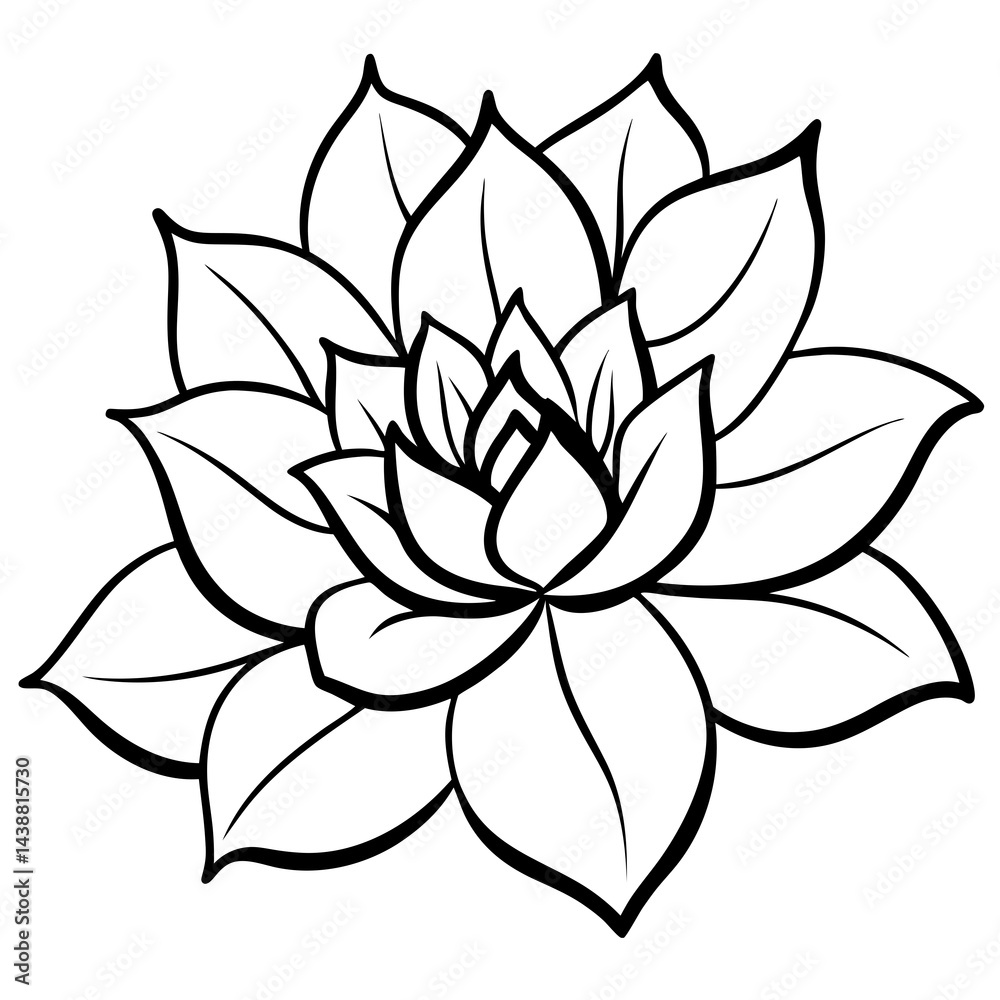 Minimal Boho Blossom Sketches Vector on White Minimal Boho Blossom Sketches Vector on White