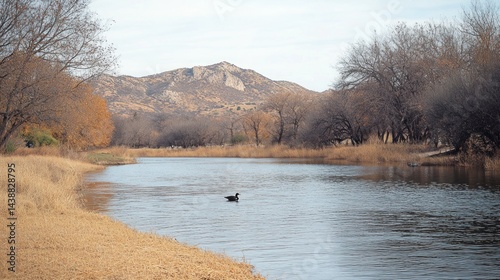 Lone bird swims river, autumn landscape, mountain background, nature scene photo