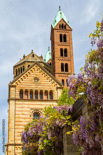 Dom zu Speyer photo