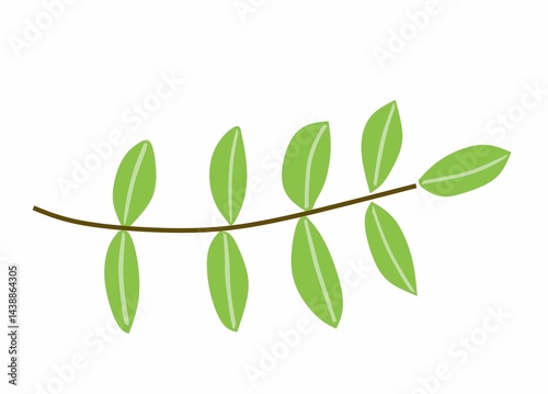 Illustration of green leaves isolated on white background