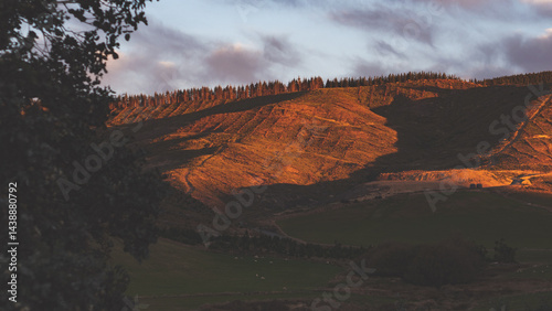 Beautiful sunrise and moonset on the hills in otago new zealand golden hour colours stunning