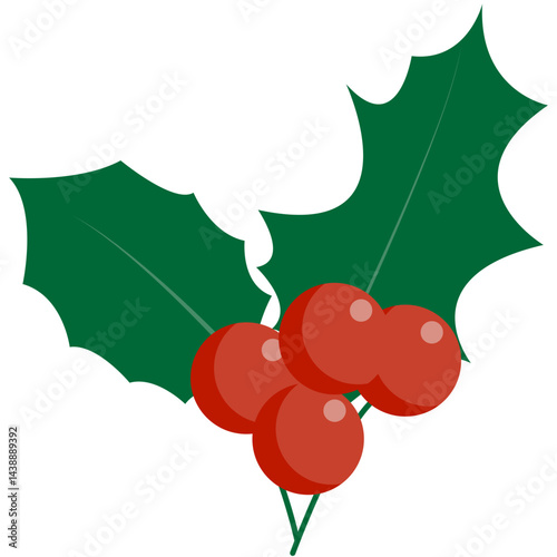 Christmas holly berry leaves. Vector illustration. Holly Berry Christmas. 