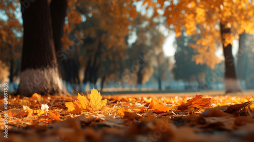 Autumn leaves falling background wallpaper hd fall season nature park landscape photography scenic view