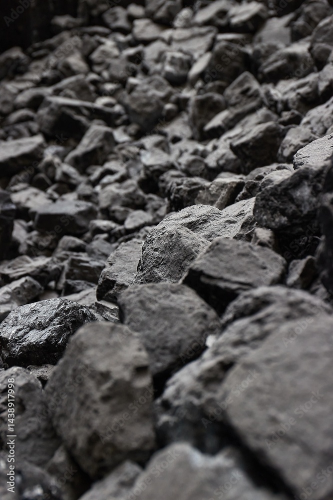 Black coal for fossil energy