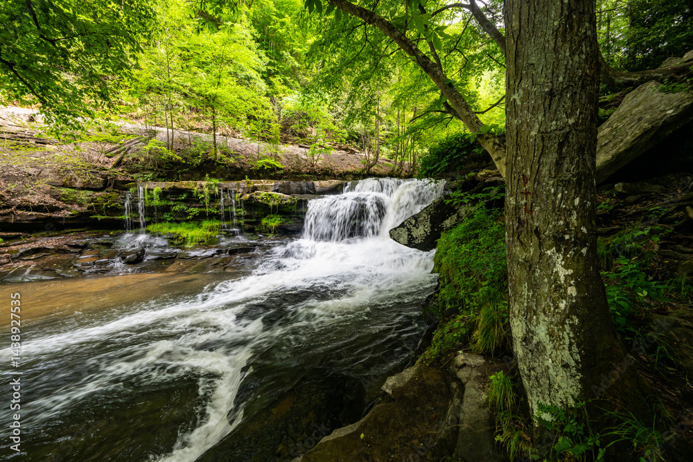 Large Tree Trunk And Rocks On The Banks Of Dunloup Creek