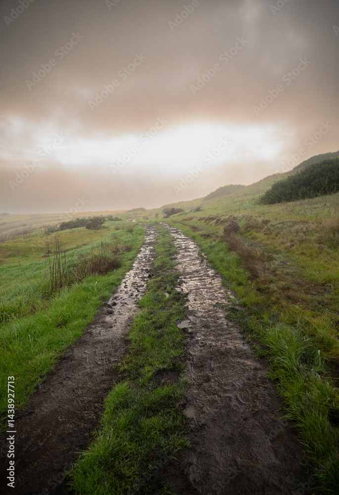 Light Breaks Through Fog Over Muddy Trail In Channel Islands