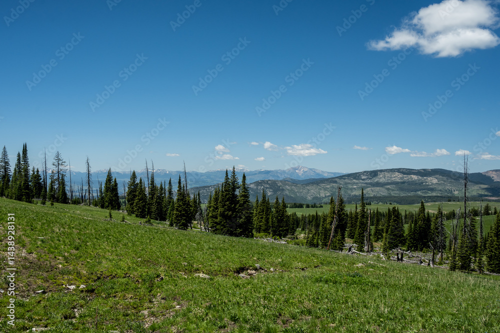 Looking West Across Yellowstone