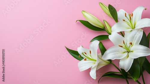 White lilies with green leaves and buds arranged on a light pink background studio shot top view floral design