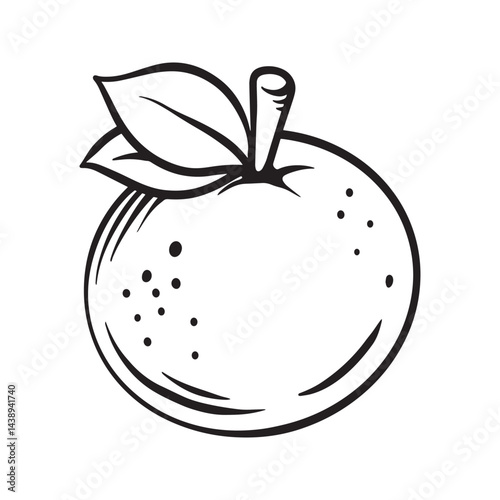Cartoon vector line art doodle of orange fruit object and symbols.