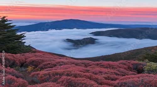 Misty mountain sunrise over vibrant red hills
