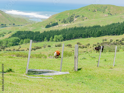 Obraz na płótnie New Zealand rural land scene w salonie