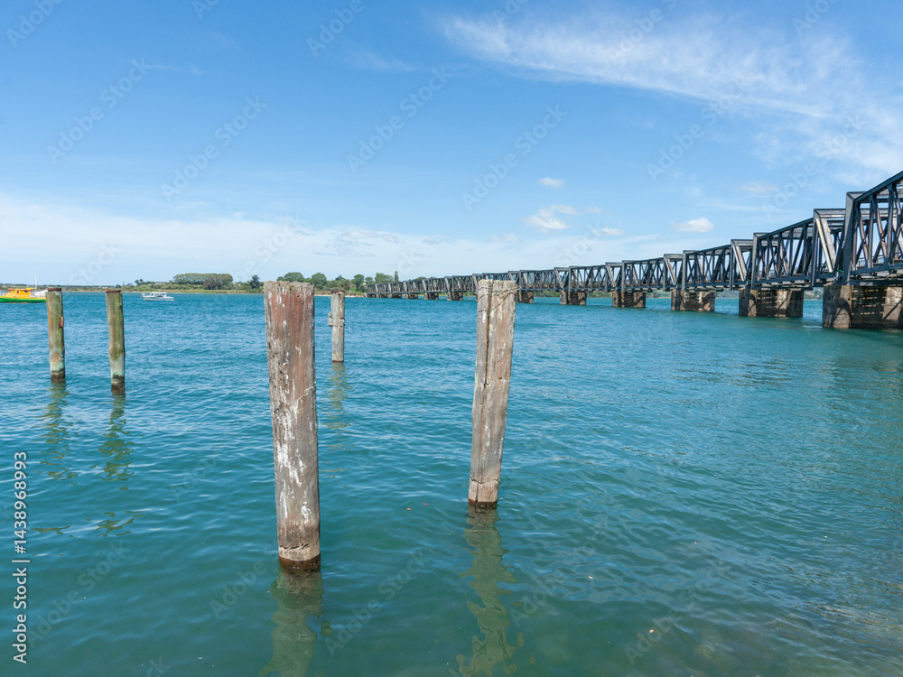 Old mooring poles in Tauranga harbour