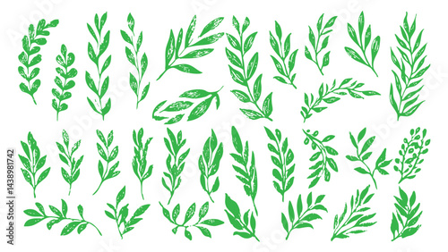 Hand Drawn Green Leaf Branches Collection